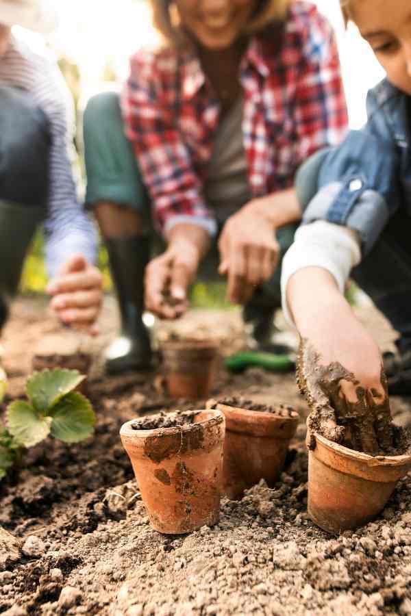 family gardening to save money