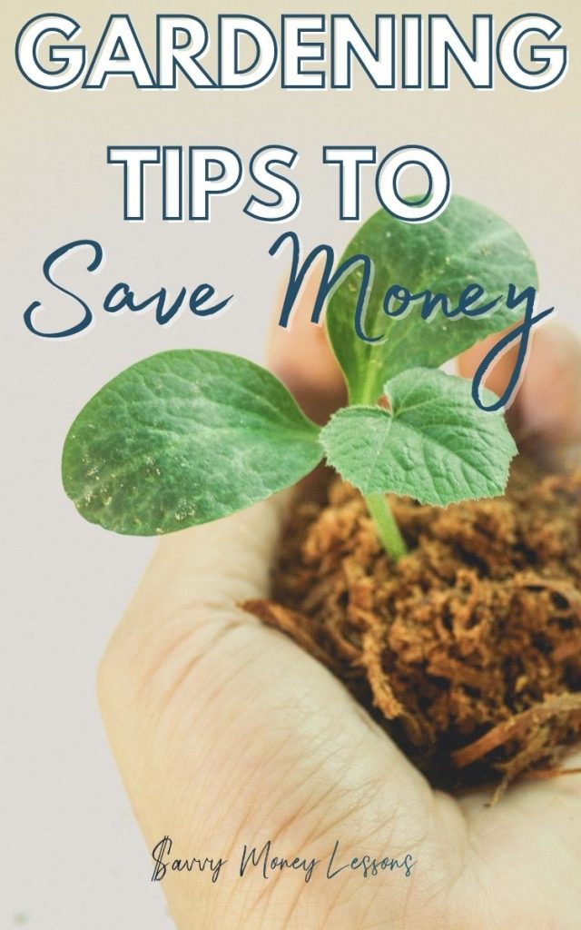 Gardening Tips to Save Money