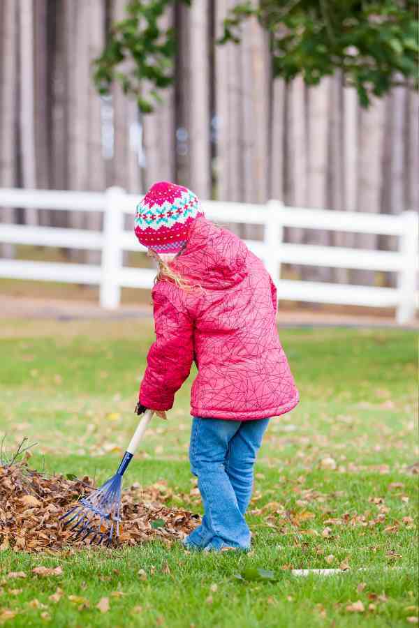 6 year old raking leaves for money